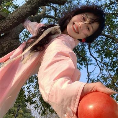 霸王龙：进化之旅